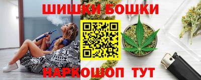 индика Новозыбков