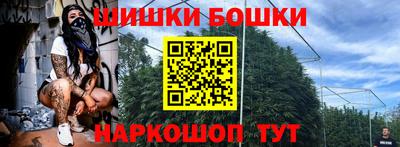 индика Новозыбков