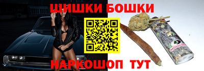 индика Новозыбков